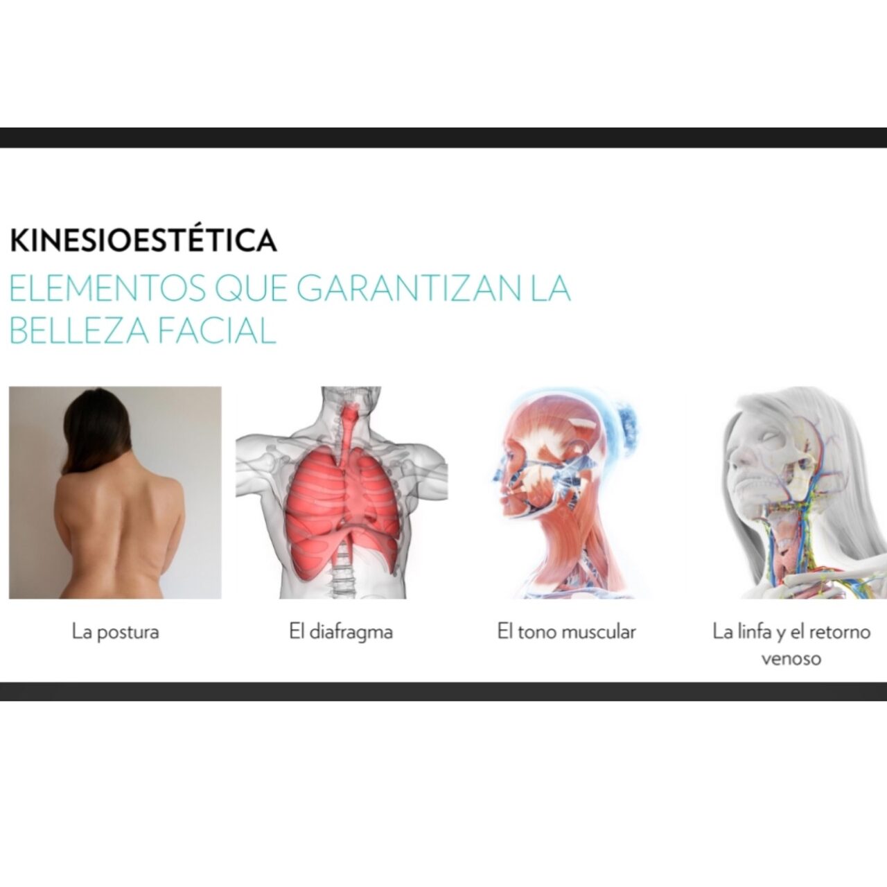 KINESIOLIFTING FACIAL, El tratamiento que redefinirá tu concepto de belleza
