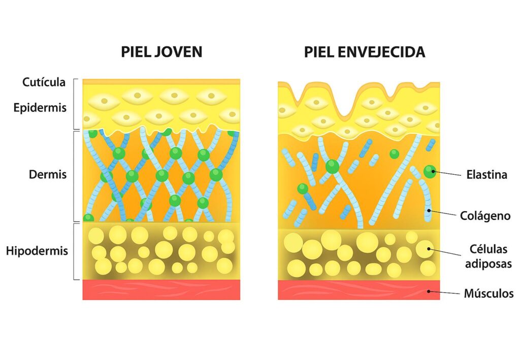 peeling-quimico-despues-del-verano